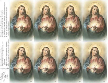 (image for) Holy Card sheet of 8: SHJ (with Heart on hand)