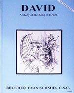 (image for) David, A Story of the King of Israel