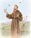 (image for) St. Francis 8 x 10 print