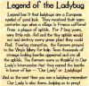 (image for) Rubber Stamp - Legend of the Ladybug (mounted)